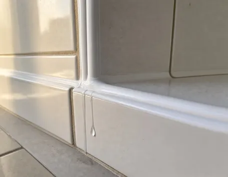 Perché la muffa si forma proprio sul silicone della doccia