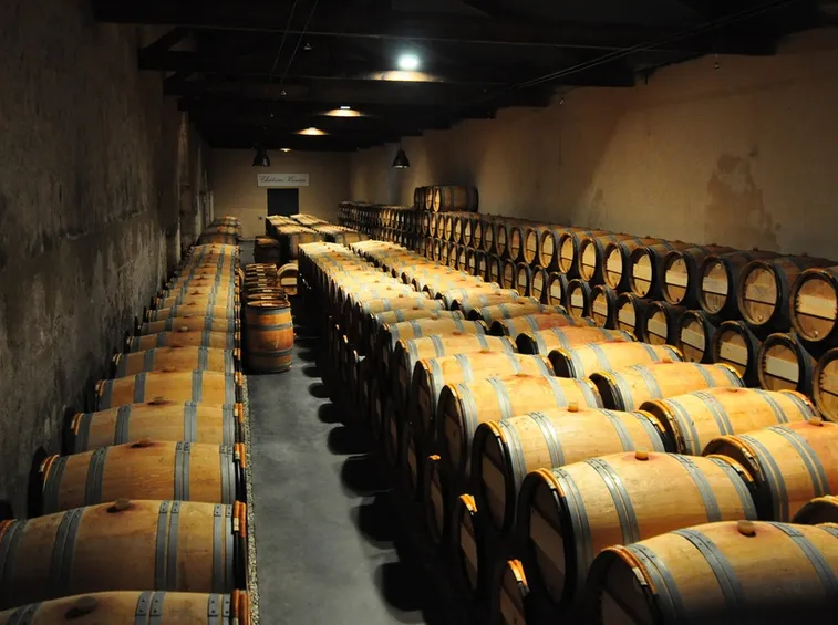 L'oscurità della cantina