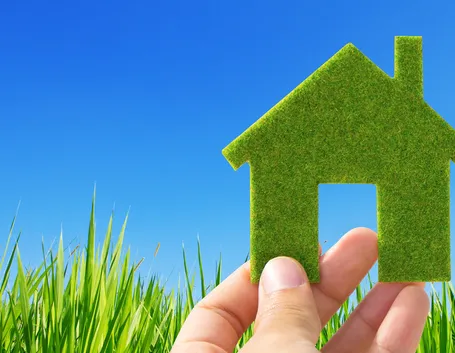 The green home