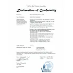 Esempio della dichiarazione di conformità in inglese