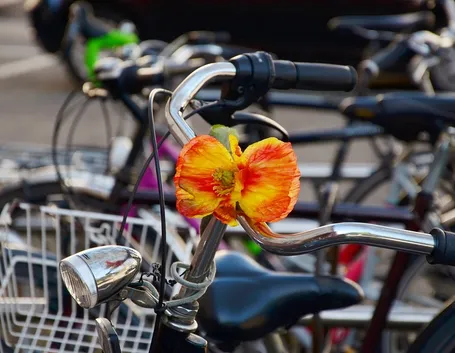 Bicicletta in centro città