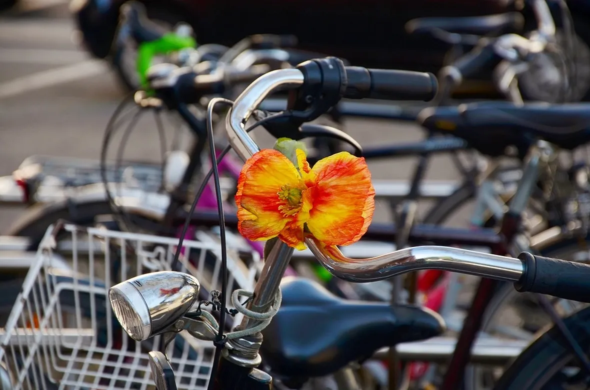 Bicicletta in centro città