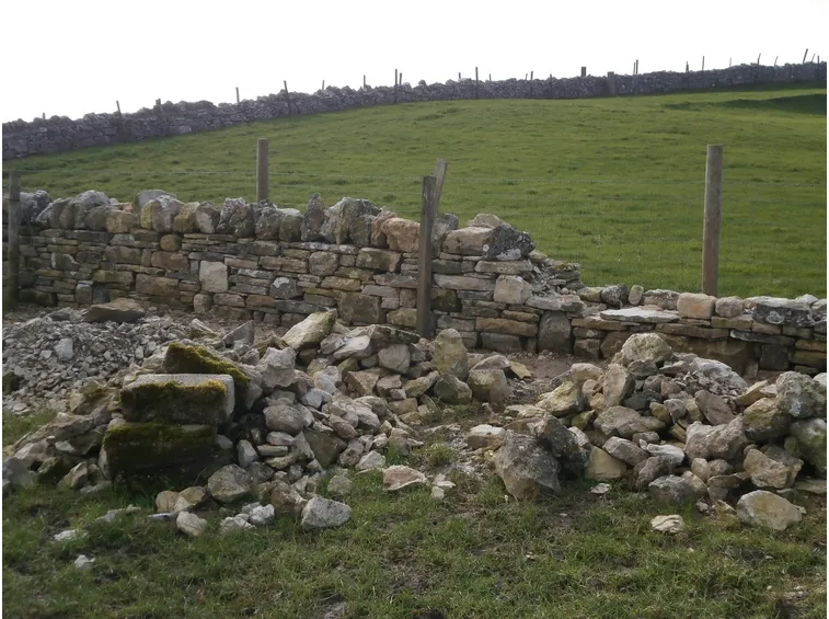 Muro riparare