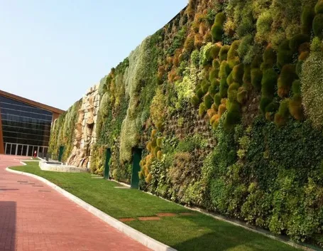 Esempio di muro verde