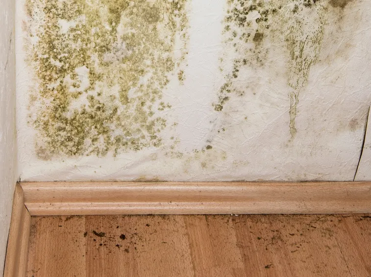 Come pulire le fughe annerite senza rovinare piastrelle e stucco