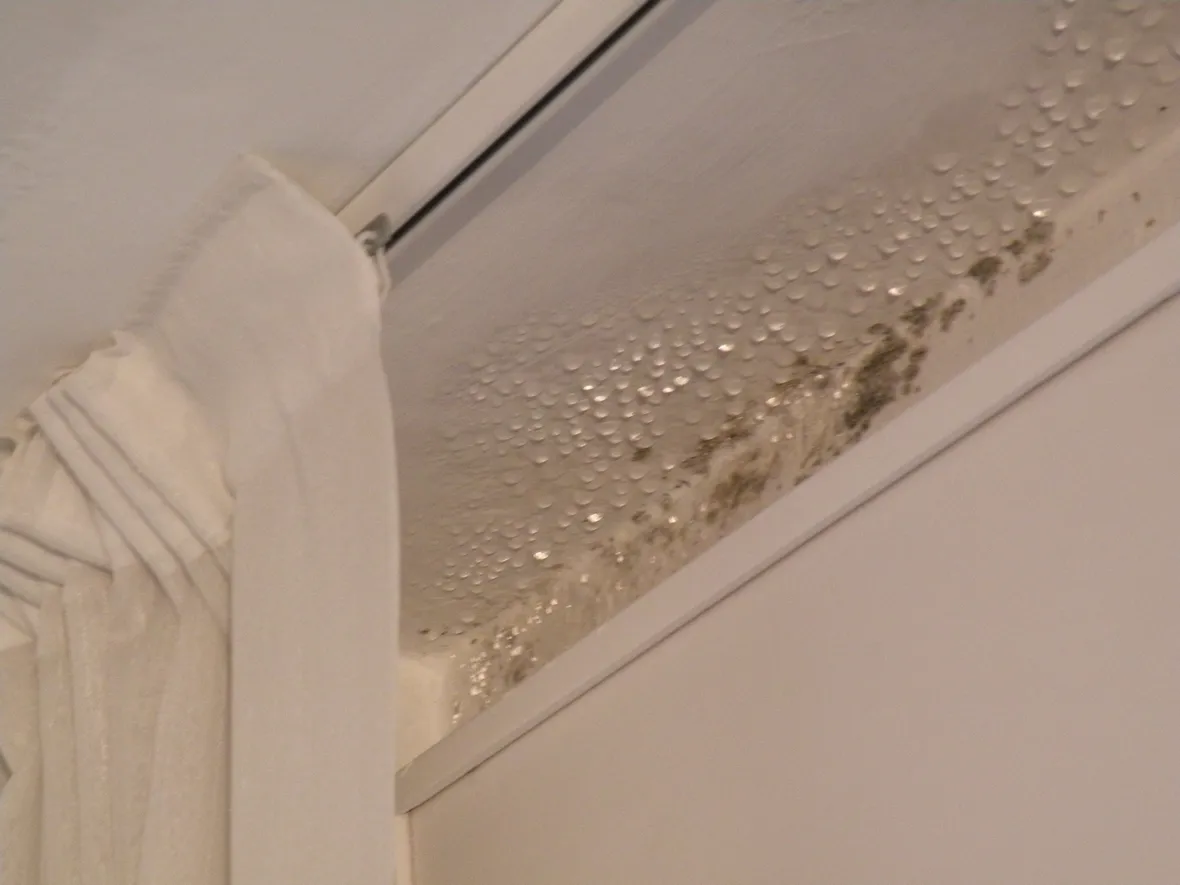 Perché le fughe del bagno si anneriscono quando le finestre restano chiuse
