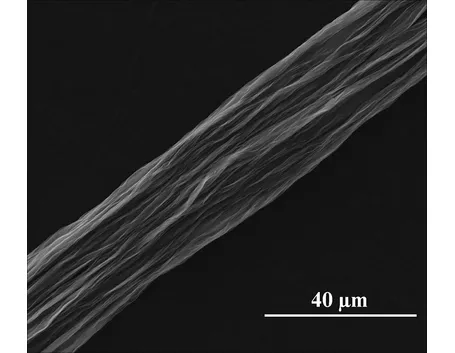 Ingrandimento di fibra di carbonio