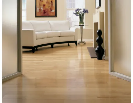 Parquet in casa