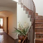 Cotto toscano