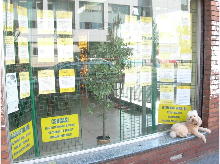 Agenzia immobiliare