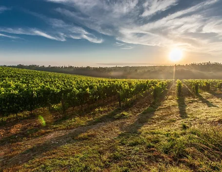 Terreno agricolo