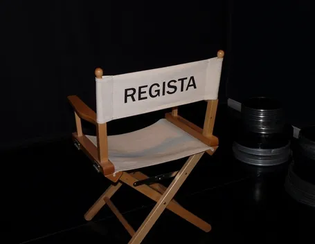 Sedia regista
