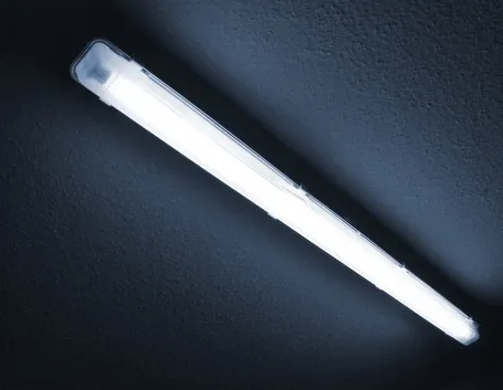 Plafoniera neon