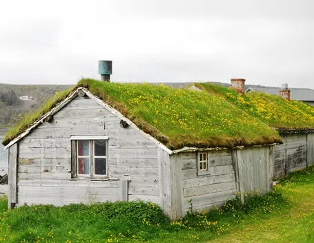 La casa e la natura