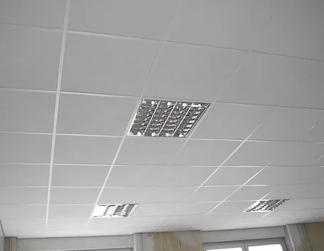 Pannelli poliestere per soffitto