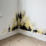 Esempio di umidità di risalita.