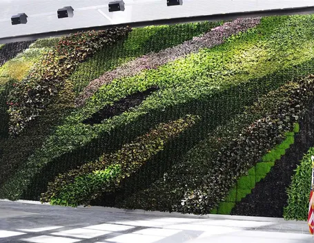 Muro vegetale