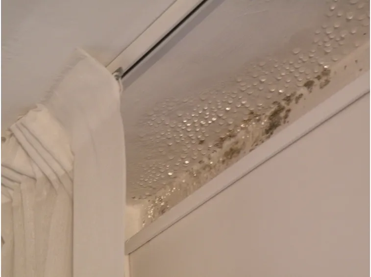 Muffa da condensa su soffitto