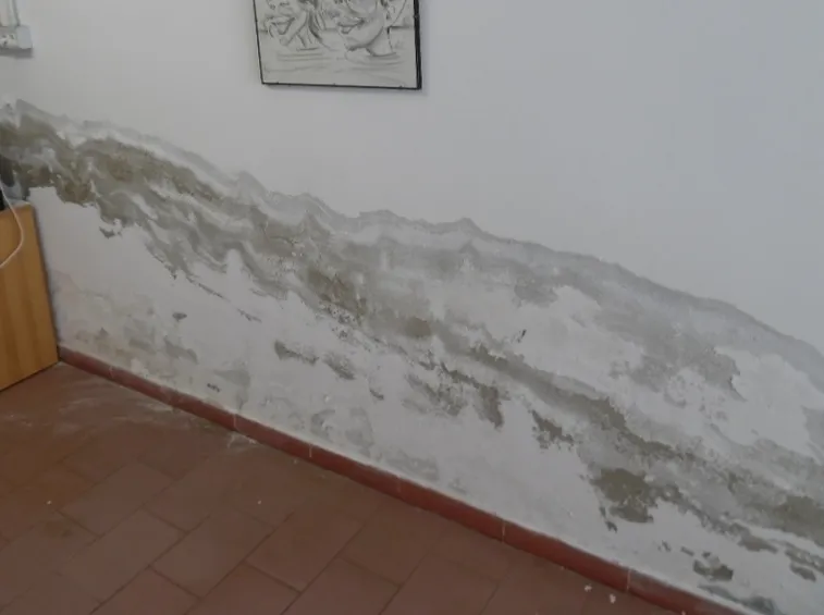 Umidità capillare su muro