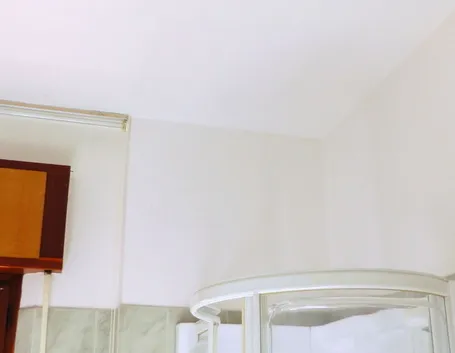 Pittura antimuffa bianca