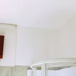 Pittura antimuffa bianca