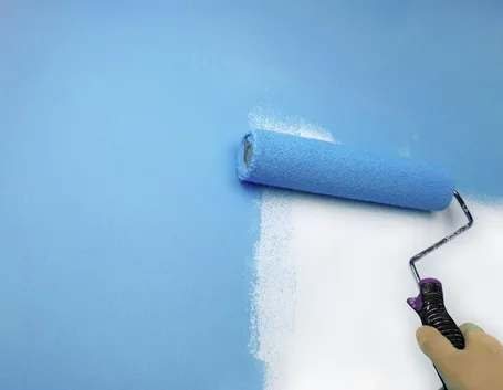 Pittura rullo