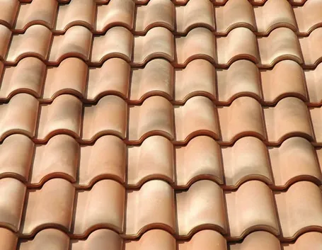 Esempio di tegole portoghesi