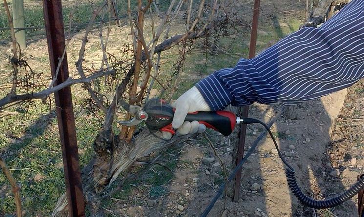 Forbici elettriche per potatura