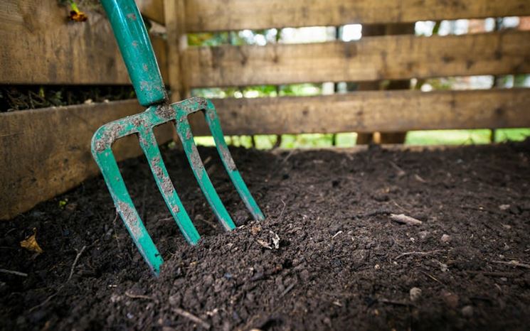 Forcone nel terreno