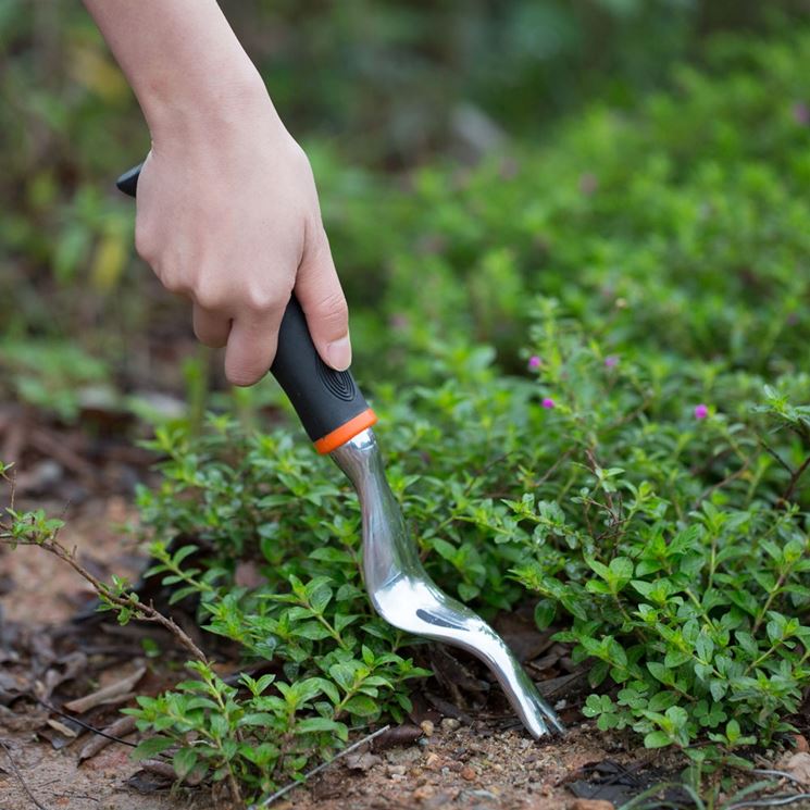 Attrezzo giardinaggio