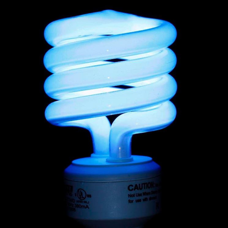 Un modello di lampadina fluorescente