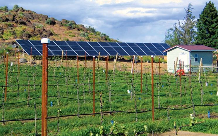 Pannelli fotovoltaici fattoria solare