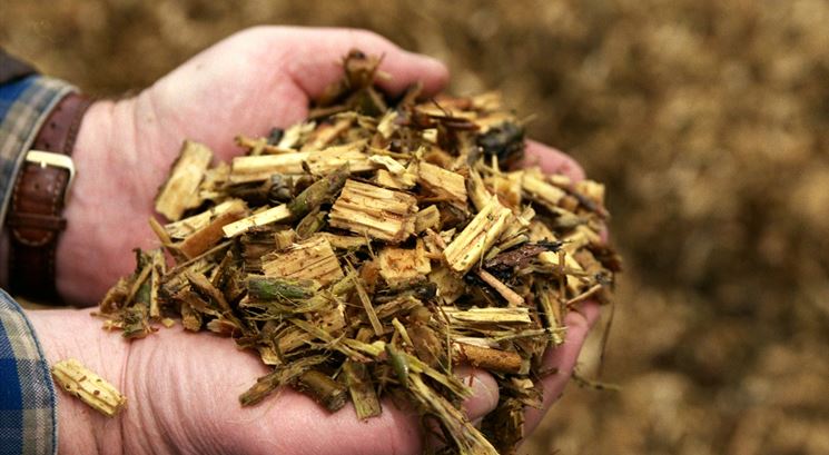 Cippato biomassa