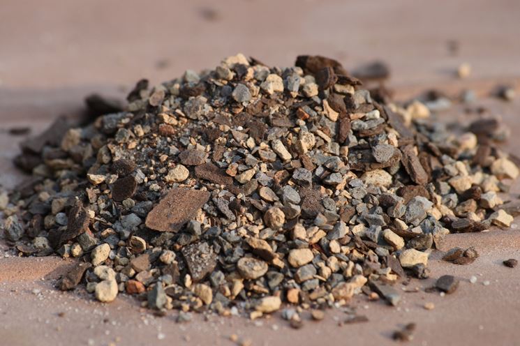 preparare terreno per bonsai