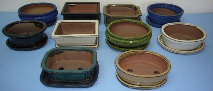 10 Vasi Per Bonsai Con Vassoio – Plastica Resistente, Ideali Per Piante Grasse E Cactus (16,5x12 Cm)