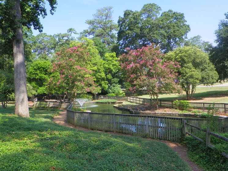 Parco latifoglie