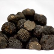 tartufo nero