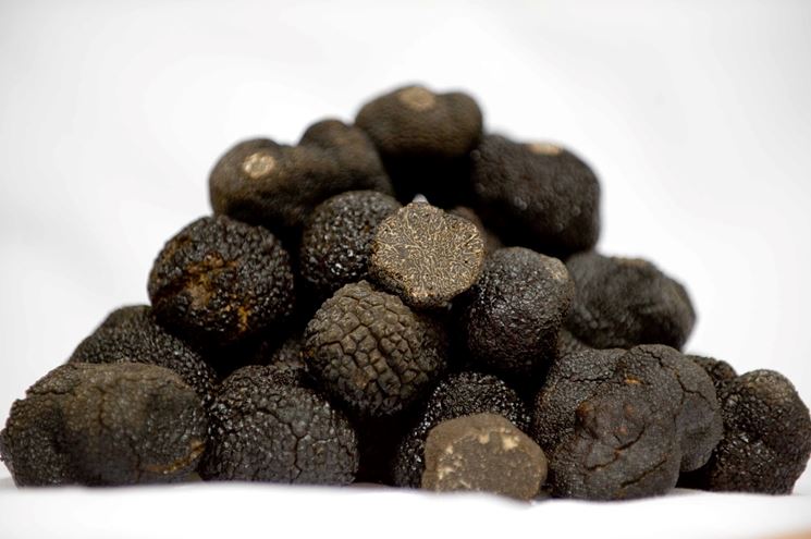 tartufo nero