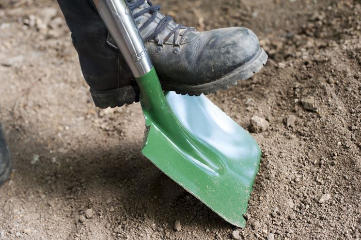 Preparazione terreno