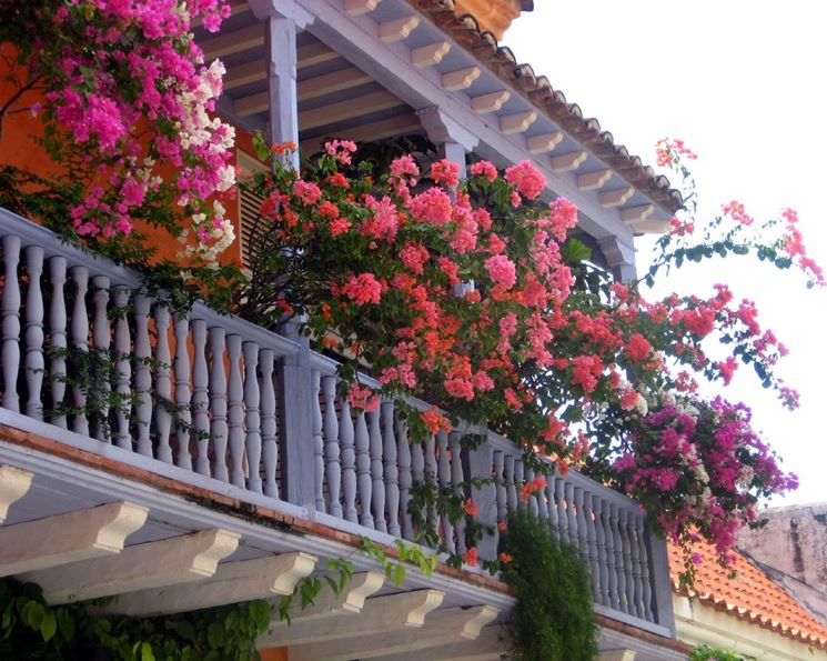 Balcone con tanti fiori