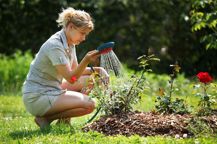 Irrigazione giardino