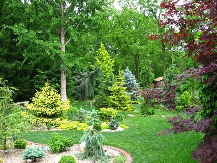 Le conifere naturali in giardino