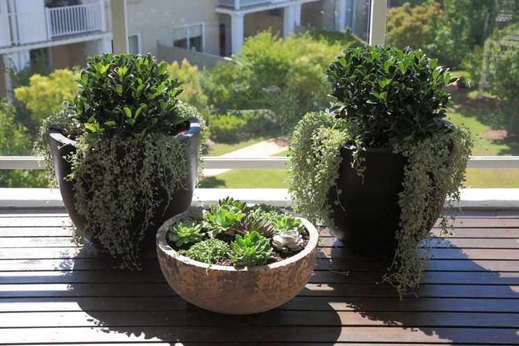 Vasi da balcone colorati