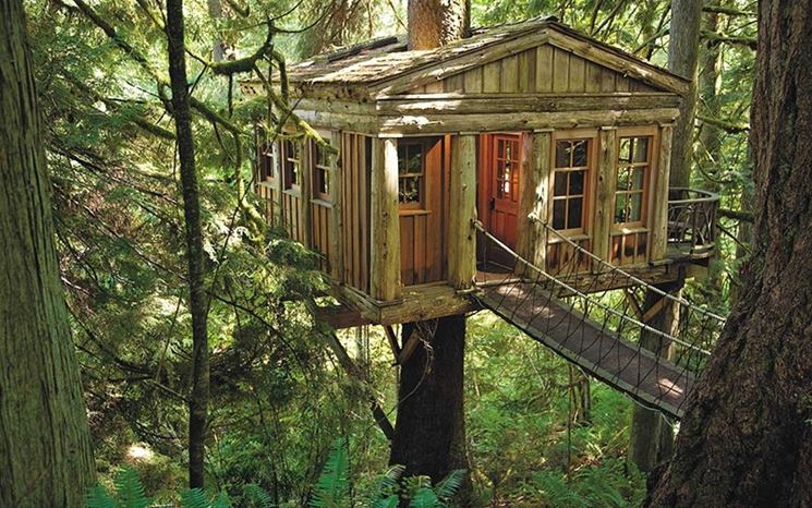 Casa sull'albero
