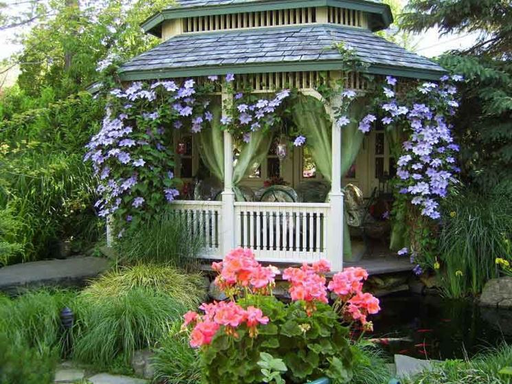 Clematis su gazebo