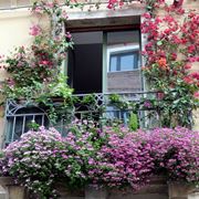 Esempio di balcone fiorito