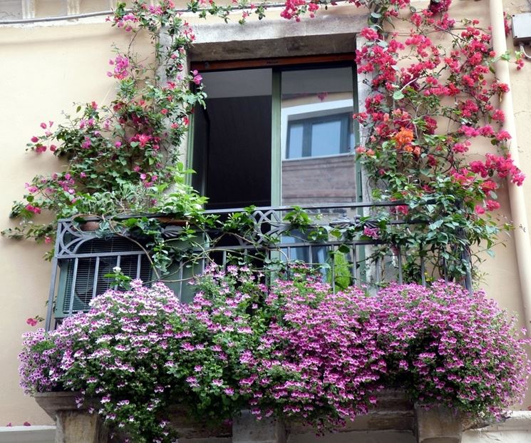 Esempio di balcone fiorito