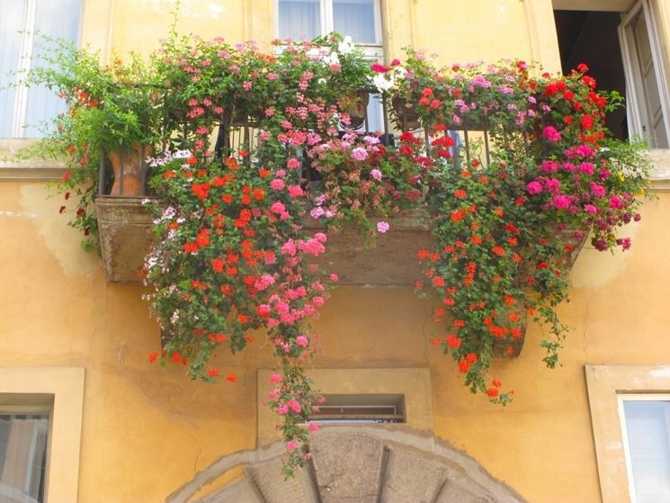 Esempio di balcone fiorito