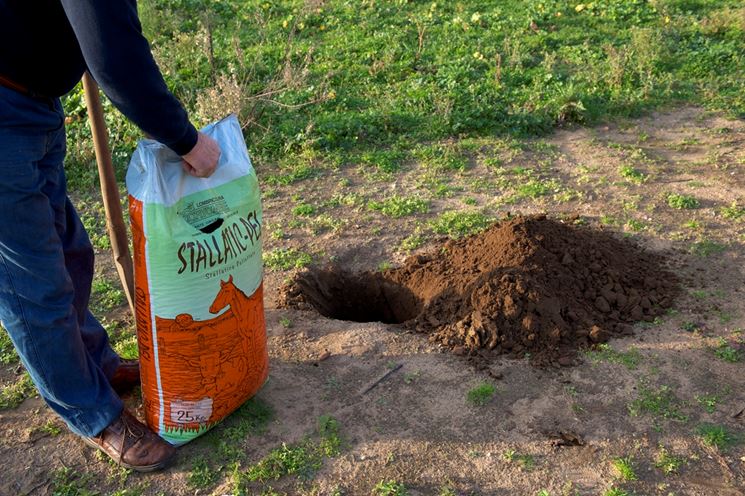 Concimazione del terreno in autunno