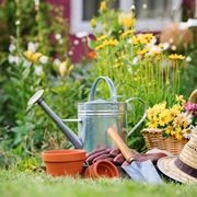 Importanza della concimazione nel giardinaggio